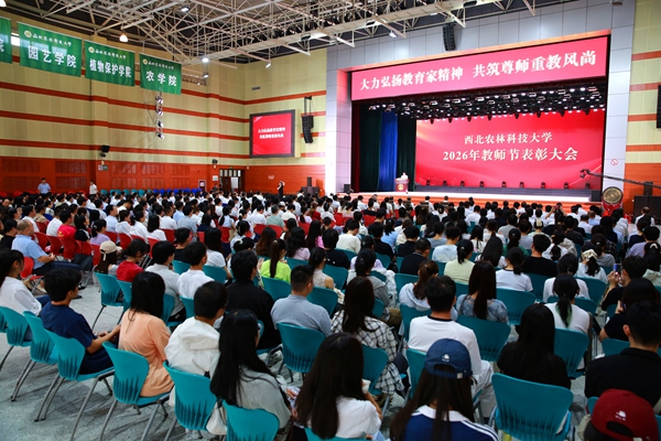 学校召开2026年教师节表彰大会